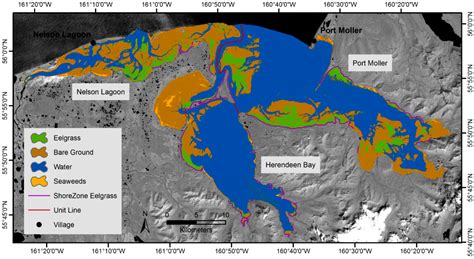 Establishing a Baseline for Regional Scale Monitoring of Eelgrass ...