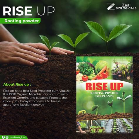 Buy Rise-up Rooting Powder (100g) at Best Price in India