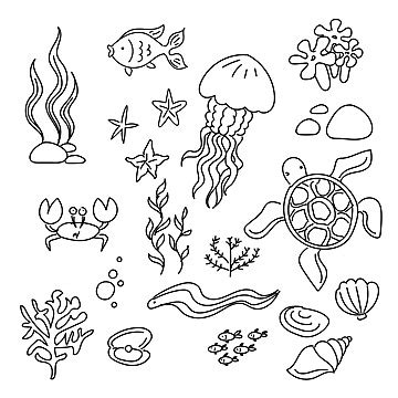 Image result for Pretty Shell Drawing