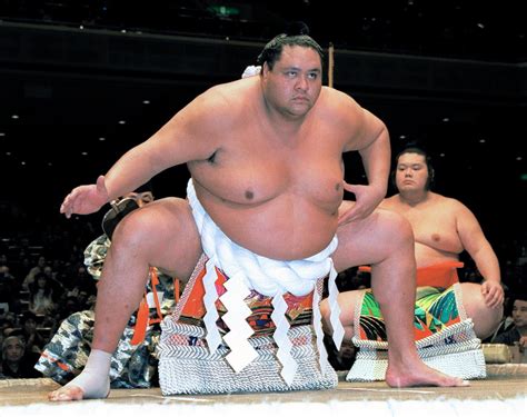 Yokozuna Wrestler