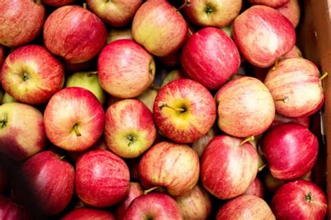 Caja de manzanas fuji 10kg | Cepaflor