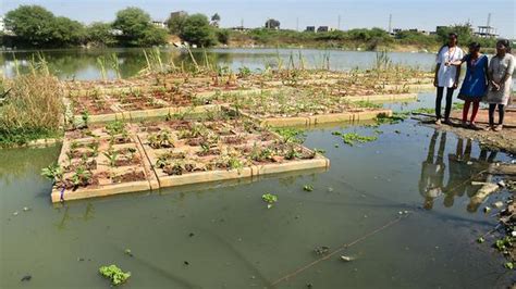 Dumpyard By 2019 To 'Best In Restoration' In 2023: How Hyderabad's ...