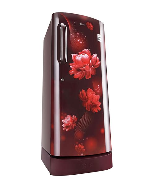 224L 4-Star Single Door Refrigerator - GL-D241ASCY | LG IN