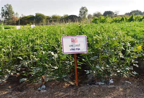 Demonstration – Krishi Vigyan Kendra