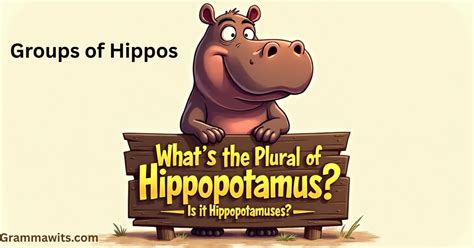 What's the Plural of Hippopotamus? Is it Hippopotamuses?