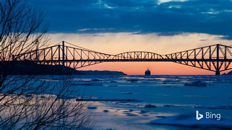 HTTP Bing Images 的图像结果