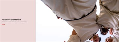 Image result for Advanced Cricket Tutorial