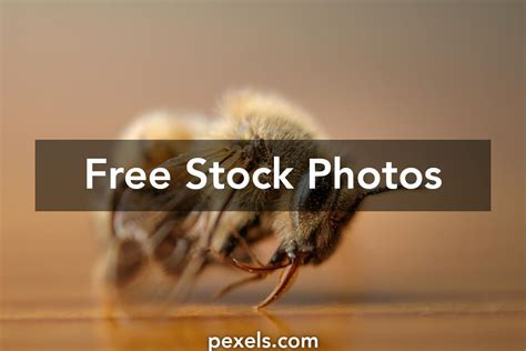 Image result for Alien Antenna