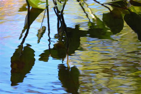 Yoga Behind the Lens: Photographing from the Heart, Sept 1-7, 2024 ...
