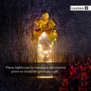 Buy Lexton 20 LED Wine Bottle Cork Lights Copper Wire String Lights ...