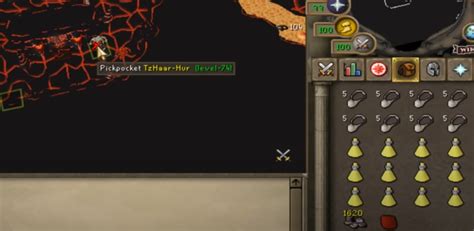 Image result for Thieving Money Making Guide OSRS