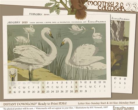 Mps 2025-26 Calendar