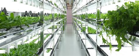 Image result for Latest Food Technology