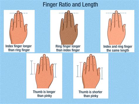 Finger Length Meaning: Personality Traits, Scientific Insights & More