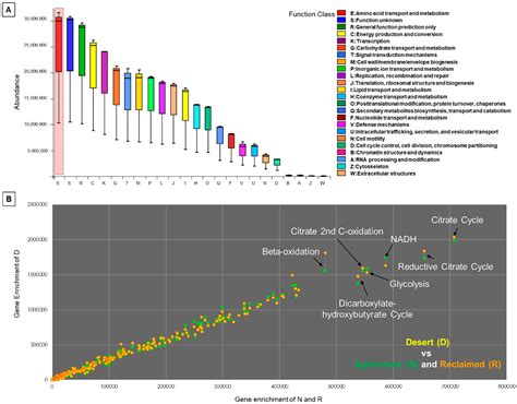 Rhizosphere-Associated Microbiome Profile of Agricultural Reclaimed ...