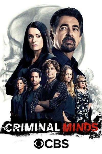 《犯罪心理第十二季》在线观看 - 美国电视剧 - 5k电影网