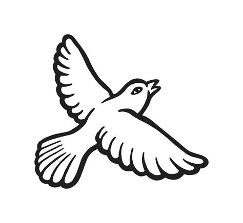 Image result for How to Draw Parrot Flying