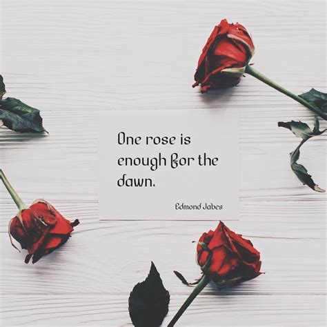 Quotes About Roses Flowers