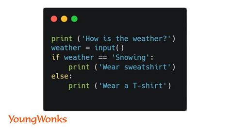 Image result for Basic If Else Addition in Python