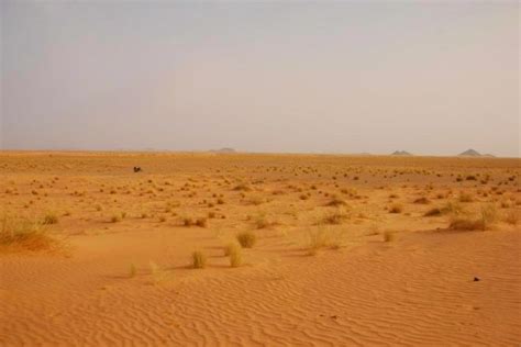 Journey of a Lifetime: Finale