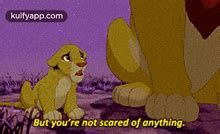 Image result for Simba Scared