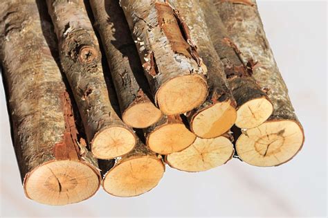 Cord of Firewood Explained: Sizes, Prices, and Seasoning Tips - Premier ...