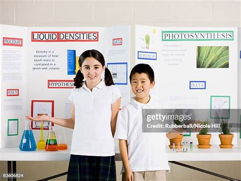 Image result for Library Science Fair Display