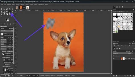 Remove Background in GIMP: 5 Methods for Perfect Cutouts