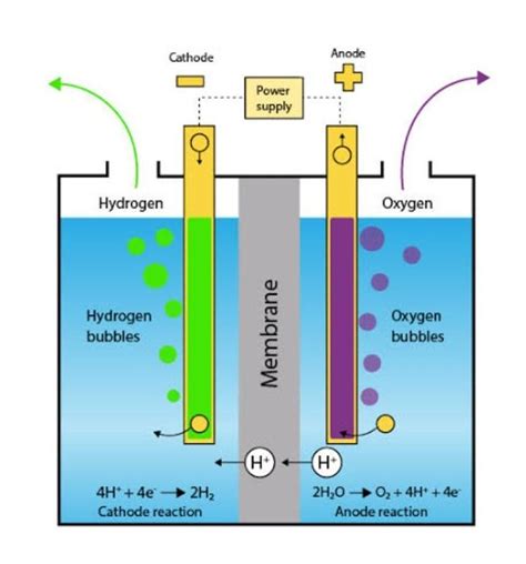 What is Hydrolysis of water? Explain with diagram. - Brainly.in