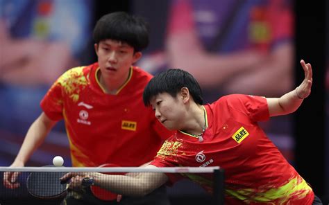 王励勤国乒新掌舵人最新素材