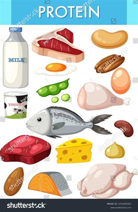 Examples Of Protein Rich Foods