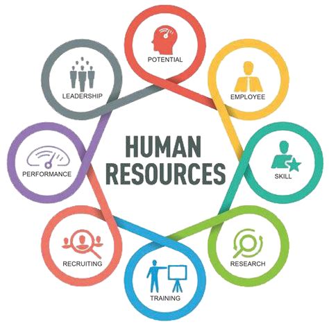 20 Roles of Human Resource Management - CareerCliff