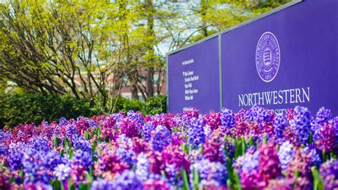 Top 999+ Northwestern University Wallpaper Full HD, 4K Free to Use