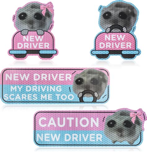 Amazon.com: 4Pcs Newbie Cat Magnetic Car Stickers New Driver Magnet for ...