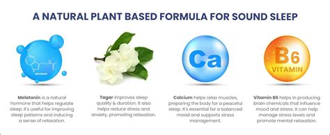 Vlado's Himalayan Organics Melatonin 10Mg + Tagar 250Mg Supplement With ...