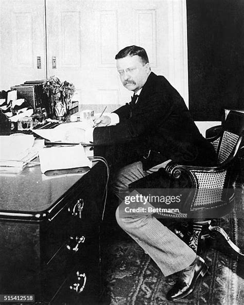 Teddy Roosevelt 的图像结果