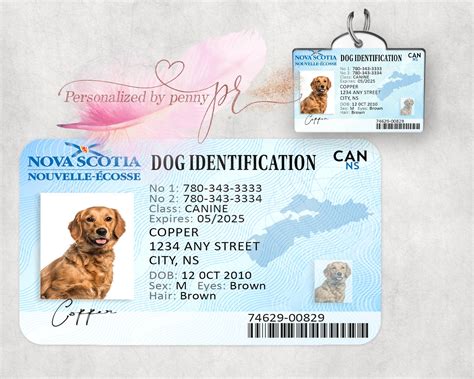 Printable Pet Id Card Template - kids Printable