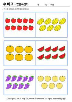 Image result for Input Form in HTML and CSS