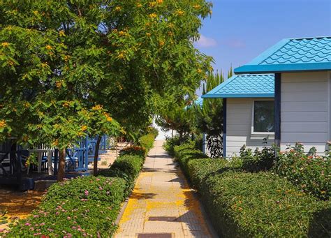 ORBITUR ILHA DE ARMONA (Olhao, Algarve, Portugal) - Campground Reviews ...