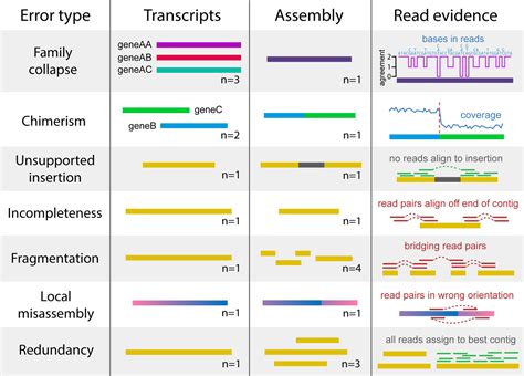 Image result for Transcriptome Assembly