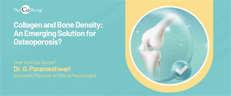 Collagen and Bone Density: An Emerging Solution for Osteoporosis? – The ...