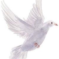 Recent Obituaries | Paye Memorial Funeral & Cremation Care