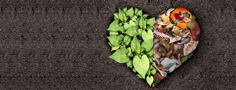 Image result for Food Waste Composting