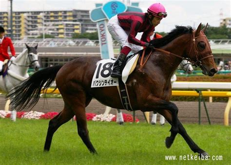 バクシンテイオー (Bakushin Teio) | 競走馬データ - netkeiba