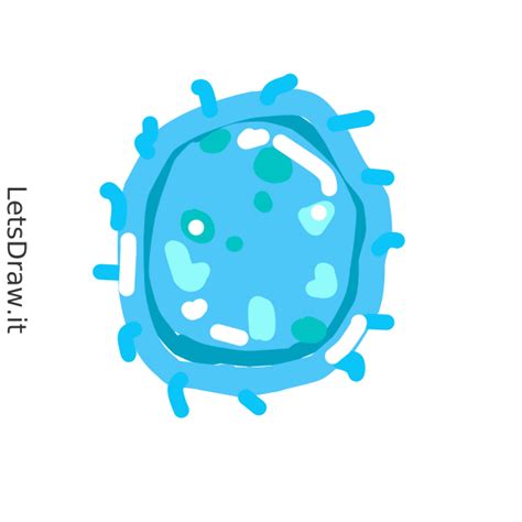 Image result for Bacteria Simple Drawing