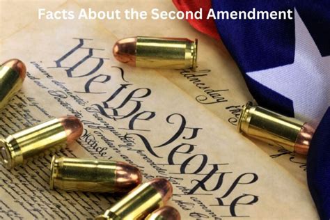 Image result for Second Amendment Explained