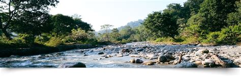 Dhela Jeep Safari Zone - Jim Corbett National Park