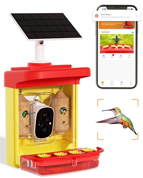 Smart Hummingbird Feeder with Camera Solar Powered Only 2.4G WiFi ...