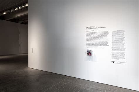 Karyn Olivier at ICA Philadelphia Philadelphia - Artmap.com