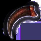 Bear Claw - bg3.wiki